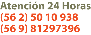 Atencion 24 horas, 81297396, 5010938